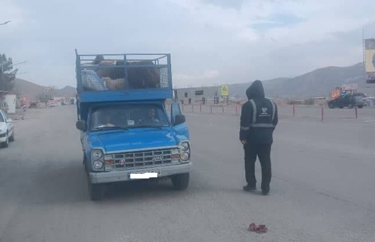 انجام گشت مشترک جاده ای کارشناسان دامپزشکی سملقان در محل پلیس راه چمن بید 